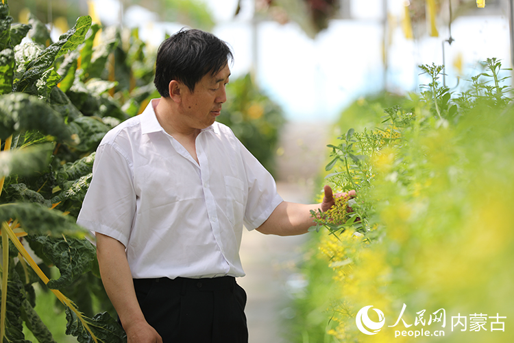 技术人员观察作物长势。人民网记者李睿摄
